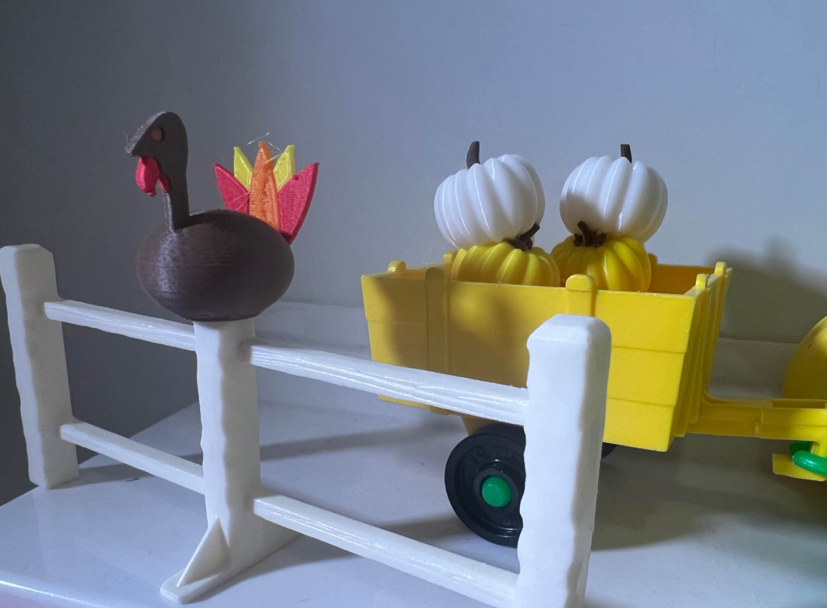 Thanksgiving Turkey